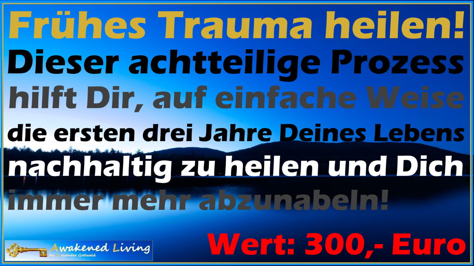 Buch „Keine Schlechten Teile“ Von Richard Schwartz – Trauma Heilen Mit Dem Internen Familiensystem